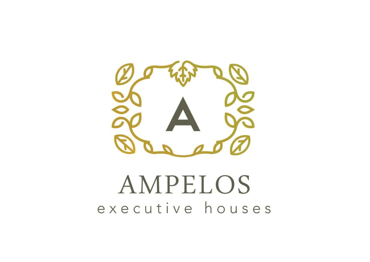 Ampelos Executive Houses Pýrgos Екстериор снимка